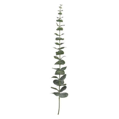 Flora eucalyptus H64 cm. vert poudré